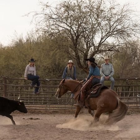 فندق Kay El Bar Guest Ranch ويكنبورغ المظهر الخارجي الصورة
