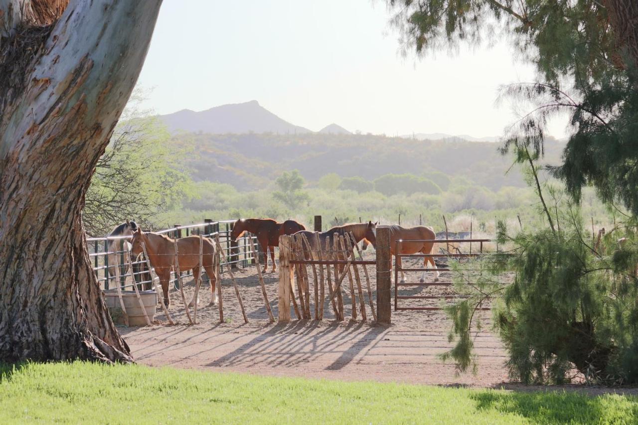 فندق Kay El Bar Guest Ranch ويكنبورغ المظهر الخارجي الصورة