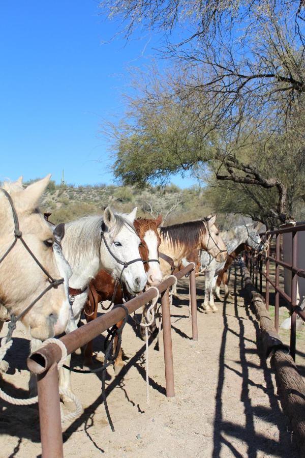 فندق Kay El Bar Guest Ranch ويكنبورغ المظهر الخارجي الصورة