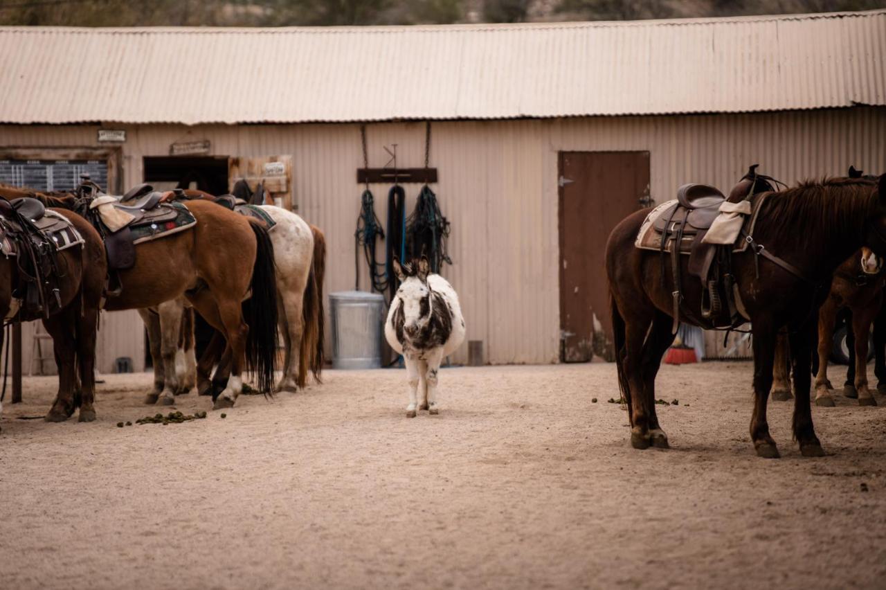 فندق Kay El Bar Guest Ranch ويكنبورغ المظهر الخارجي الصورة